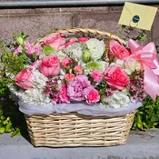Dream Basket