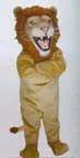 African Lion