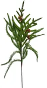 20" Norfolk Pine Spray W/Pinecones Real Touch