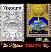 15. Microdeception: Insight To What’s Right / E-Book.