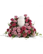Bed of Pink Roses — Black Eyed Susan's Flowers & Plants