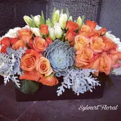 Special someone
