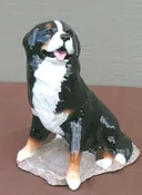 Bernese Mountain Dog