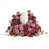 Bed of Pink Roses