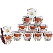 Daisy Grow Kits | Daydream Mini Terracotta Pots (12 Pack)