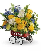 BABY BOY WAGON (24 HOUR NOTICE)