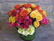 Bright spray rose mixture-Item 1A