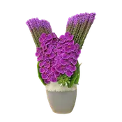 AF 2000-1 Luxury Purple Orchid & Heather in Ceramic Vase – Delivery Miami Same Day