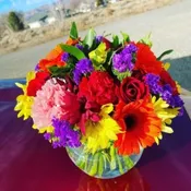 Color Explosion