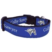 Dog Collar