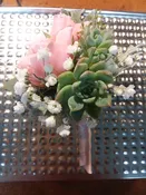 Pink Rose &amp;amp; Succulent