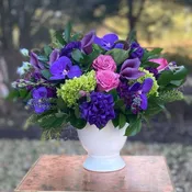 Purple Kabloom