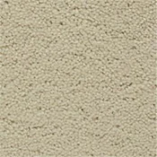 Fabrica Almond Frost Plush Saxony Carpet