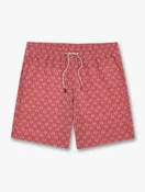 Bayberry Trunk-Red Plams