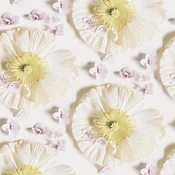 Montgomery Wallcovering