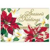 12-CT Supreme Box Xmas “Festive Plumeria”