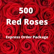 500 Red Roses Value Pack