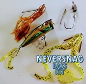 Bass Kit (Copy)