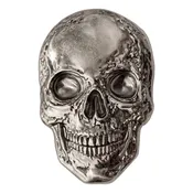 Anatomical Skull 3D Enamel Pin