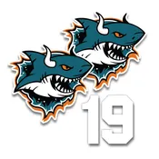 BULL SHARKS HELMET DECAL