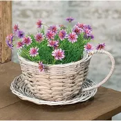 Gray Willow Cup & Saucer Planter