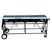 BBQ Propane Grill (2X5) BIGJ with propane
