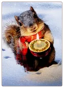 Snowy Squirrel Holds Candle Christmas Card