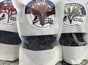 Edible Seaweed Sampler | Dried Whole Leaf Seaweed Variety Pack | Gulf Of Maine, Inc.