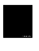 MIDNIGHT ONYX