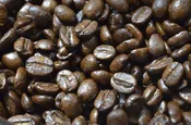 Decaf Pumpkin Pie Coffee — Indulge Lititz