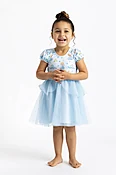 Disney Princess Tulle Dress