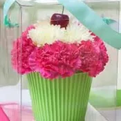 Celebration Cupcake