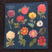 Botanica Floral Vintage Images Napkins - set of 4 in Pouch by Cavallini — Summer Porch Vintage Living Sacramento