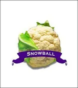 Cauliflower Seed. Organic Snowball. Heirloom. Pkt.