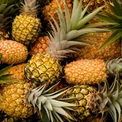 Pineapple Candle | Wick: A Candle Bar
