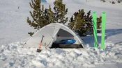 ArcDome 1+