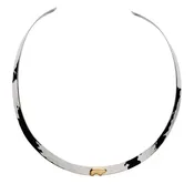 Two Tone Slim Collar