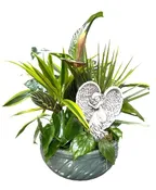 ANGEL DISH GARDEN