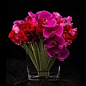 Enticing Elegance