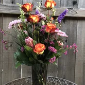 Sunset Rose