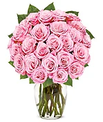 24 Long Stemmed Pink Roses