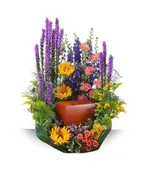 CELEBRATION GARDEN SURROUND