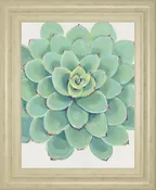 22x26 Pastel Succulent III By Tim OToole - Green