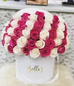 50 PINK & WHITE ROSES IN A BOX