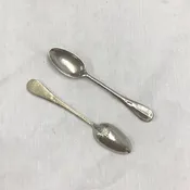 Decorated Shell Back Sugar Spoon