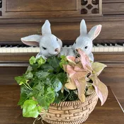 Hopping In The Garden