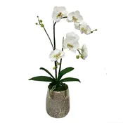 [RGVHL-ORGRD] Round Glass Vase Hammered Large - White & Green Double Orchid Artificial