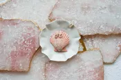 Jean-Georges Organic Dishes — Source and Tradition