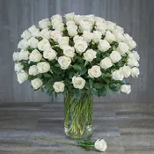 101 Long Stem Roses