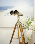 15x80 Toko Binocular